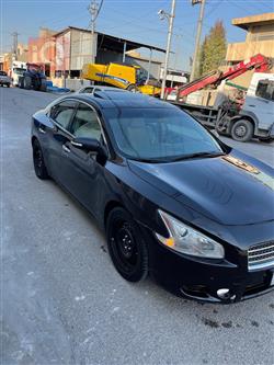 نيسان ماكسيما